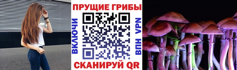 МЕГА ONION  Лесозаводск  Галлюциногенные грибы прущие грибы 